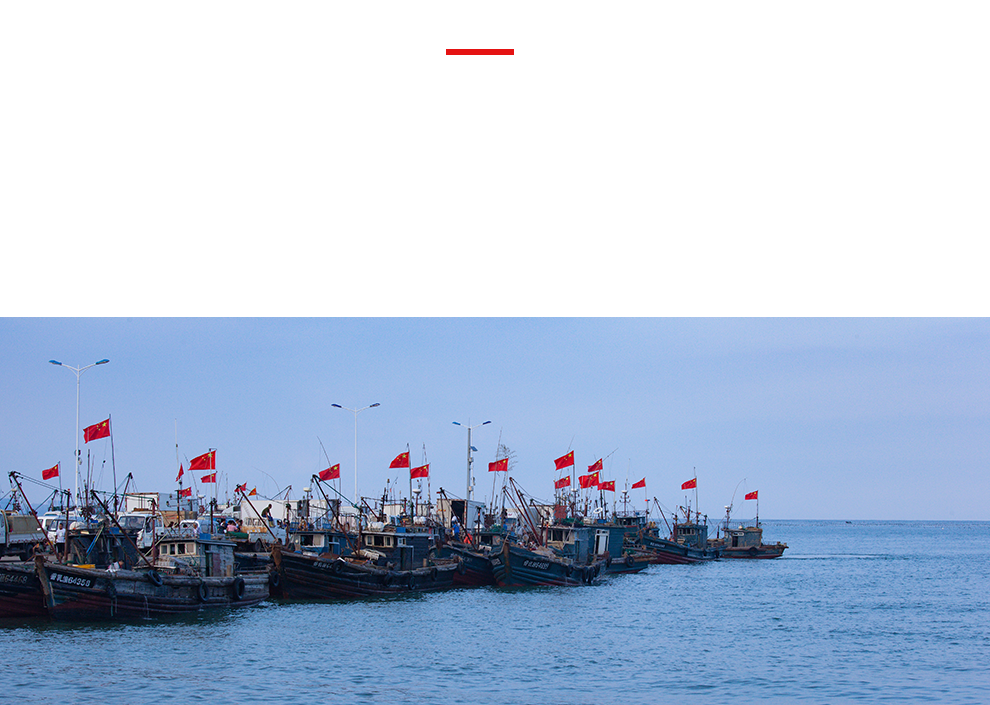 公司简介(图1)